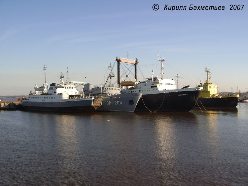 Паром "Шуя", судно размагничивания СР-203, килекторное судно "Килектор-I" и ледокол "Пурга"