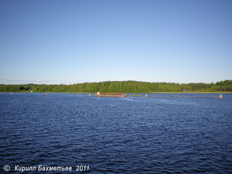 Берег реки Пиелисйоки