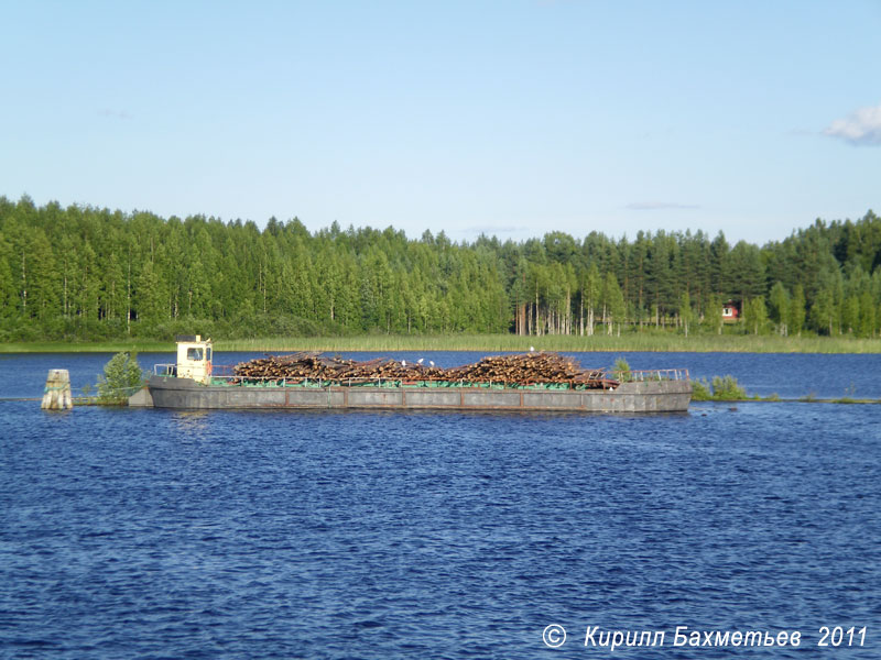 Баржа с лесом