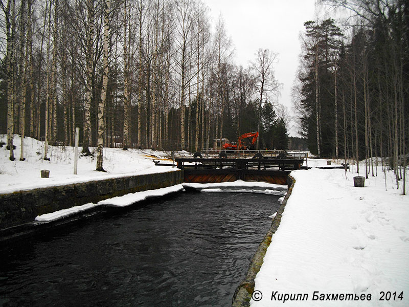 Лесосплавный шлюз на старом Коннусском канале