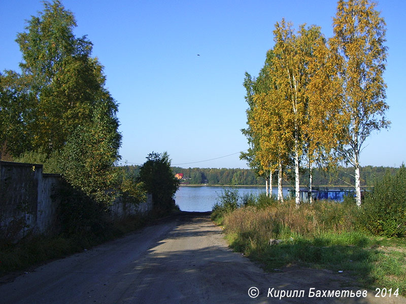 Дорога, упирающаяся в Неву