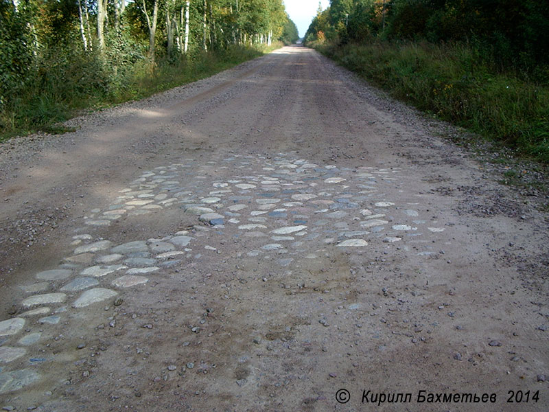 Булыжная мостовая на дороге вдоль Старолажожского канала