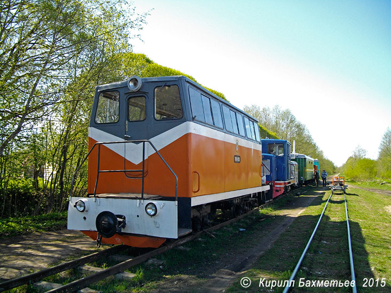 Автомотриса ТУ6П-0050, тепловоз ТУ4-2630, мотодрезина ТД5у и другой подвижной состав