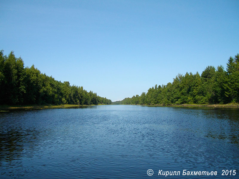 Новосвирский канал