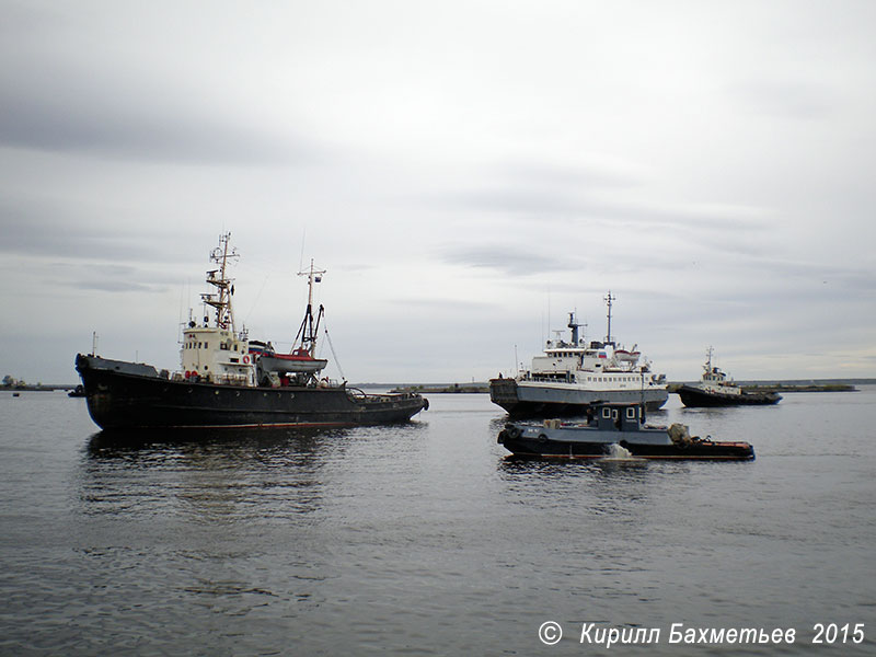 Паром "Шуя" с буксирами "МБ-169", "РБ-98" и "БУК-407"