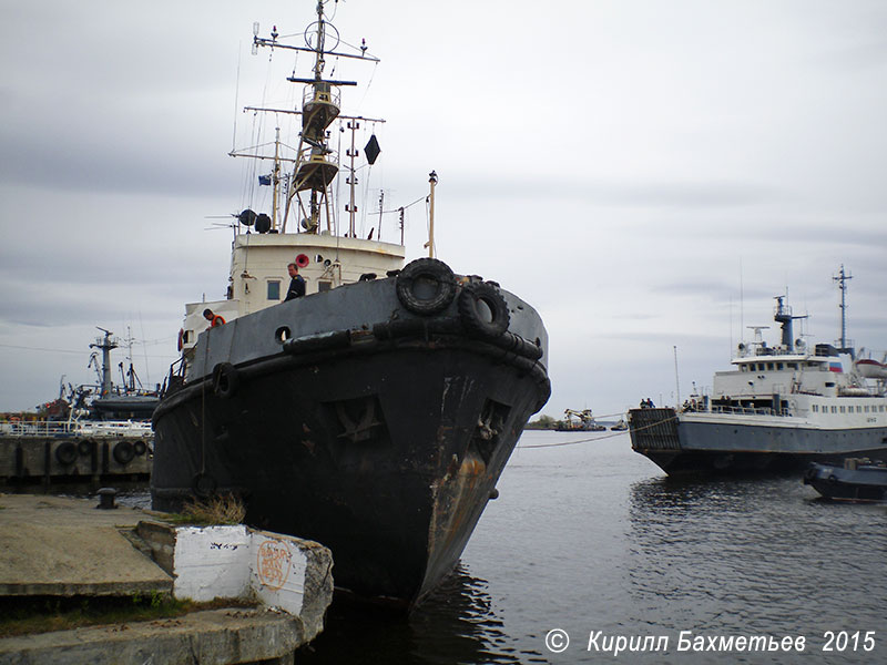 Паром "Шуя" с буксирами "МБ-169" и "БУК-407"