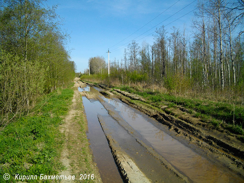 Дорога вдоль Староладожского канала