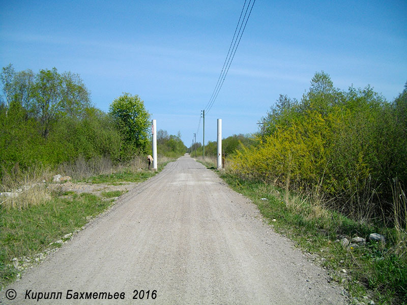 Дорога в сторону базы отдыха Белые озерки