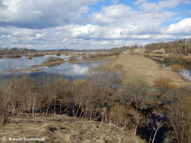 Затопленная пойма реки Оредеж