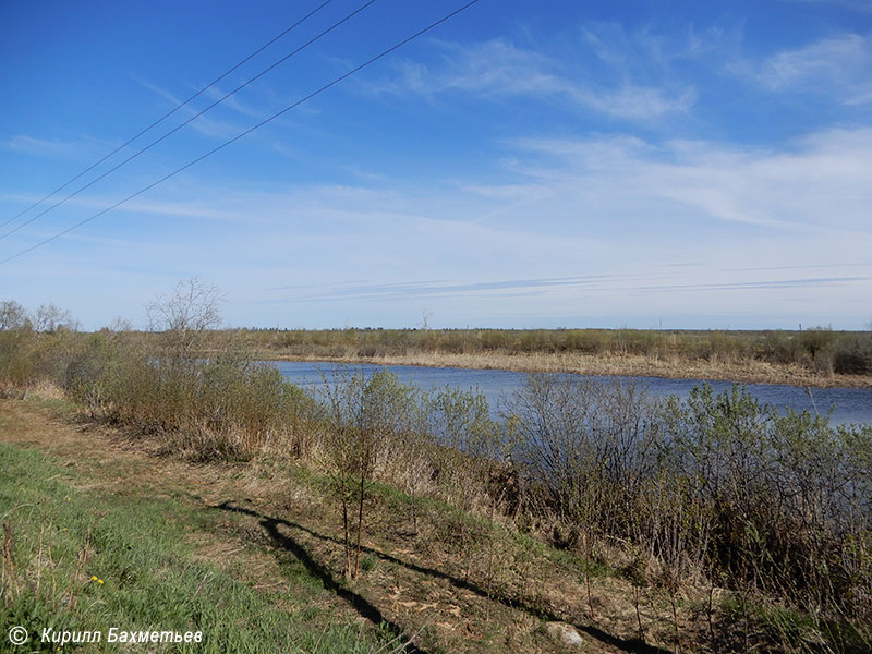 Старосвирский канал, река Косопаша