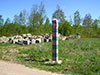 Пограничный столб №629